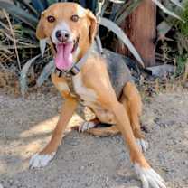 Thumbnail photo of Eddy #3