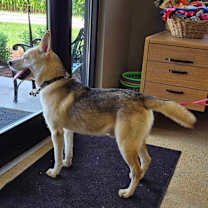 Thumbnail photo of Max #4