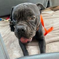 Thumbnail photo of QUINCY #1