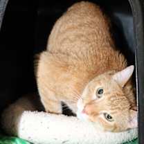 Thumbnail photo of Jane  #1