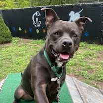 Thumbnail photo of Biggie #4