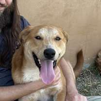 Thumbnail photo of Wylie #4