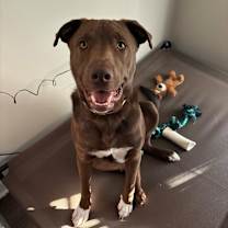 Thumbnail photo of Randy #1