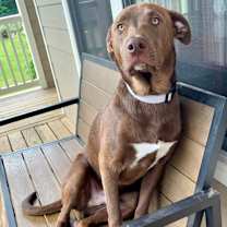 Thumbnail photo of Randy #2