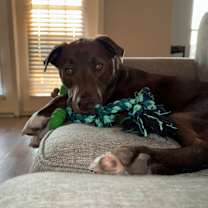 Thumbnail photo of Randy #3