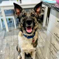 Thumbnail photo of Finnegan #1