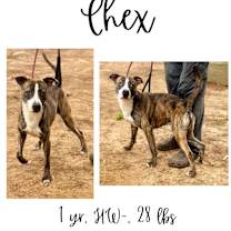 Thumbnail photo of Chex #1