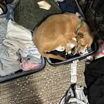 Thumbnail photo of Nikki #2