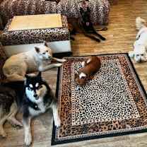 Thumbnail photo of Ember #3