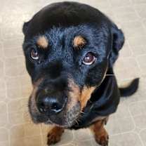 Thumbnail photo of ATHENA (COURTESY POST) #1