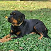 Thumbnail photo of ATHENA (COURTESY POST) #2