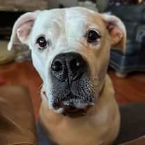 Thumbnail photo of Winnie: New Tinder Profile #1