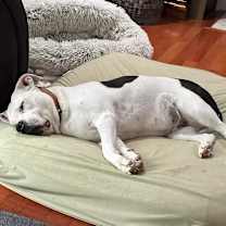 Thumbnail photo of Winnie: New Tinder Profile #4