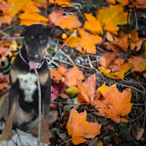 Thumbnail photo of Mikey #4