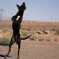 Thumbnail photo of Richard #2