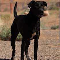 Thumbnail photo of Richard #3