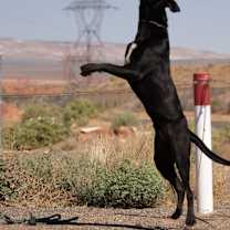 Thumbnail photo of Richard #4