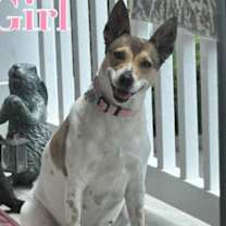Thumbnail photo of Maddie #1