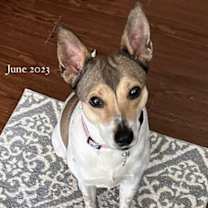 Thumbnail photo of Maddie #3