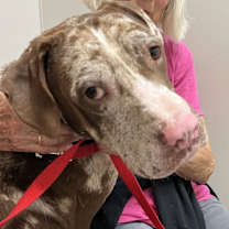 Thumbnail photo of Jasper #1