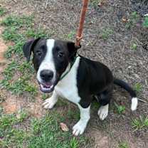 Thumbnail photo of Barney #1