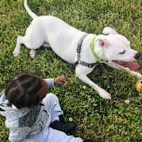 Thumbnail photo of Lilly White #2