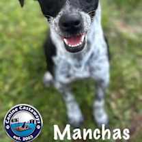 Thumbnail photo of Manchas #1