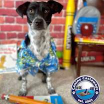 Thumbnail photo of Manchas #4