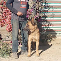 Thumbnail photo of Duke G #4