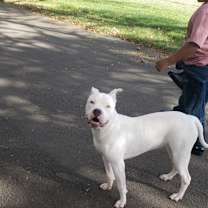 Thumbnail photo of Remy #4