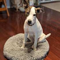 Thumbnail photo of Sparkles #2