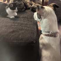 Thumbnail photo of Sparkles #3