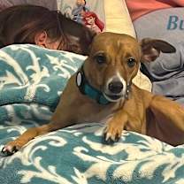 Thumbnail photo of BUDDY #3