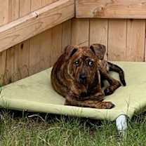 Thumbnail photo of Rubbles #3