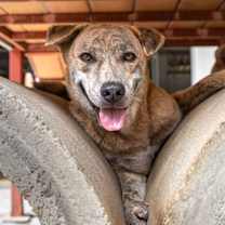 Thumbnail photo of Meggie #1