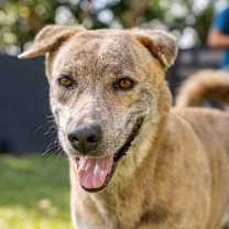 Thumbnail photo of Meggie #3