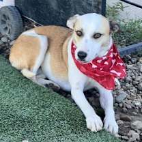 Thumbnail photo of Monica #3