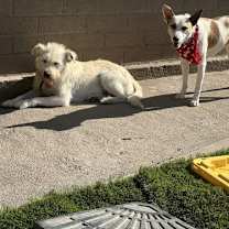 Thumbnail photo of Monica #4