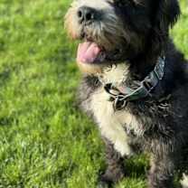 Thumbnail photo of Snoop Dogg #4