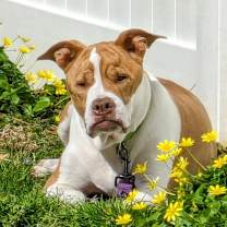 Thumbnail photo of NELLIE! #2