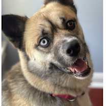 Thumbnail photo of Xena #3