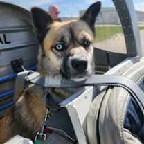 Thumbnail photo of Xena #4