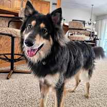 Thumbnail photo of Combie #1