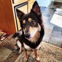 Thumbnail photo of Combie #2