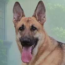 Thumbnail photo of Mia #3