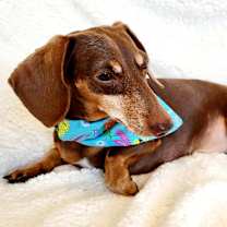 Thumbnail photo of BEAUX #2