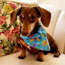 Thumbnail photo of BEAUX #3