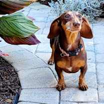 Thumbnail photo of BEAUX #4