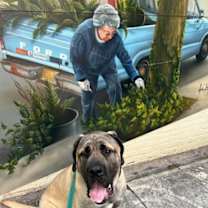 Thumbnail photo of Capone #2