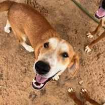 Thumbnail photo of Crocs #4